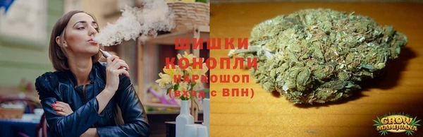гашик Аркадак