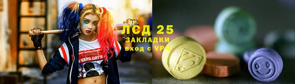 гашик Аркадак