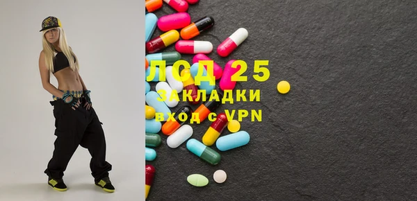гашик Аркадак