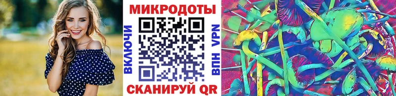Псилоцибиновые грибы Psilocybe  Купить  Таруса 